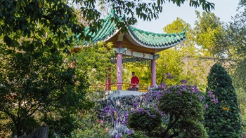 中式亭台地势略高，被花卉和树木包围，潺潺流水与翠绿茂盛的植物互相辉映，创造了诗情画意的美景。